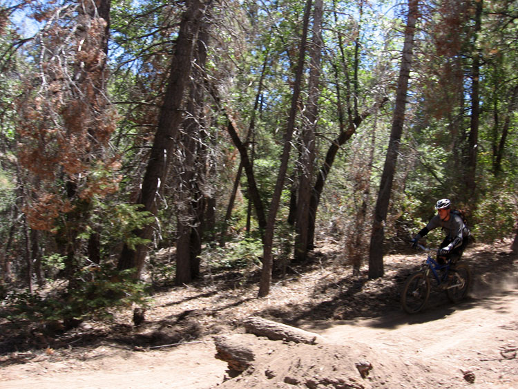 snow_summit-0069