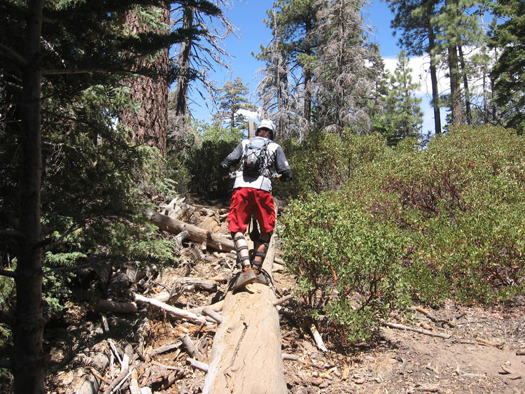 snow_summit-0081