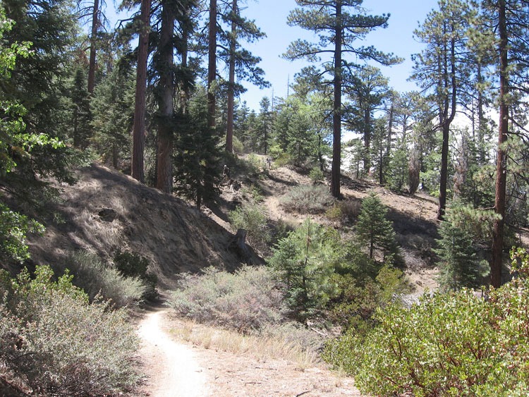 snow_summit-0082