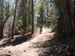 snow_summit-0066