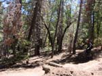 snow_summit-0069