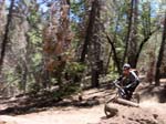 snow_summit-0070