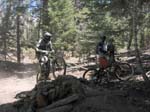 snow_summit-0076