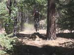 snow_summit-0080