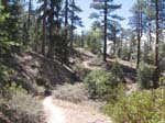 snow_summit-0082