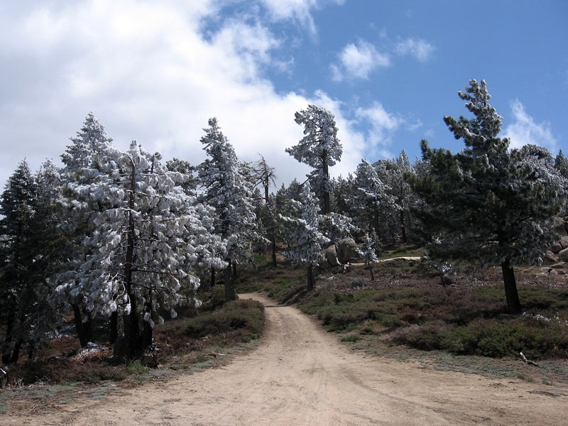 snow-summit-to-pine-knot-trail-0010