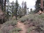 snow-summit-to-pine-knot-trail-0037