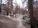 hanna-flats-to-grout-bay-trail-0005