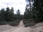 hanna-flats-to-grout-bay-trail-0022