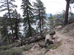 hanna-flats-to-grout-bay-trail-0028