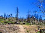 hanna_flats_grout_bay_trail_IMG_1552