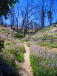 hanna_flats_grout_bay_trail_IMG_1553