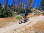 hanna_flats_grout_bay_trail_IMG_1558