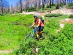 hanna_flats_grout_bay_trail_IMG_1573
