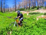 hanna_flats_grout_bay_trail_IMG_1575