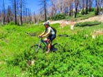 hanna_flats_grout_bay_trail_IMG_1577