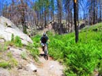 hanna_flats_grout_bay_trail_IMG_1579