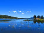 hanna_flats_grout_bay_trail_IMG_1592