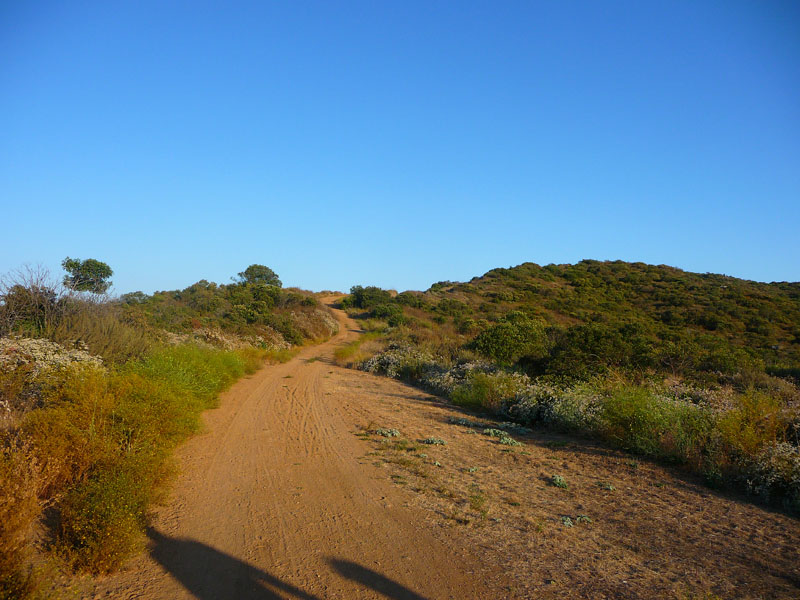 quail-hill-serrano-ridge-irvine-19