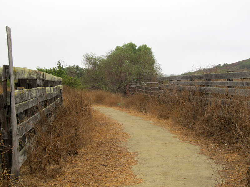 bommer-canyon-irvine-singletracks-IMG_2066