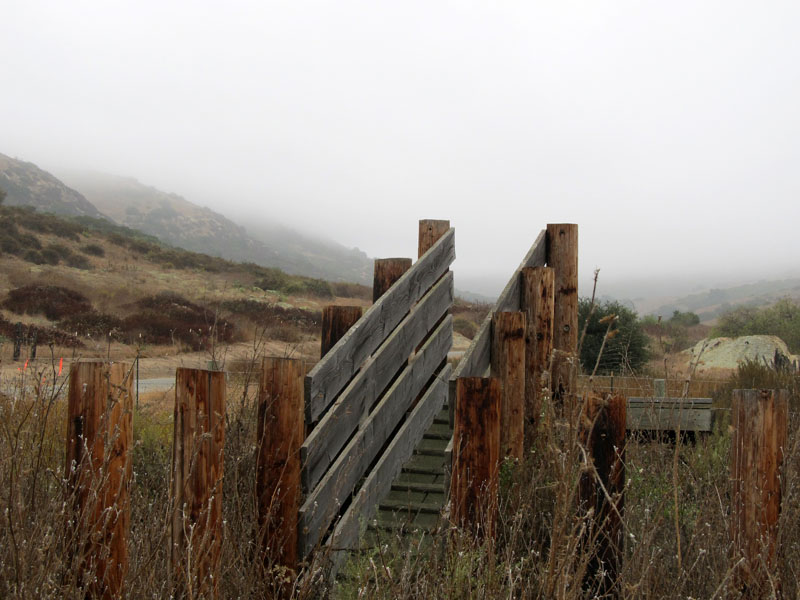 bommer-canyon-irvine-singletracks-IMG_2067