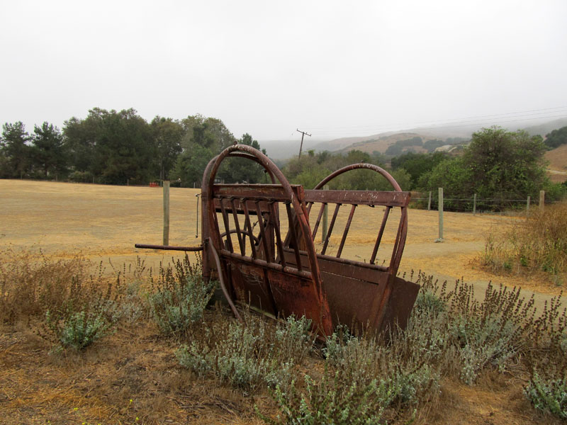 bommer-canyon-irvine-singletracks-IMG_2068