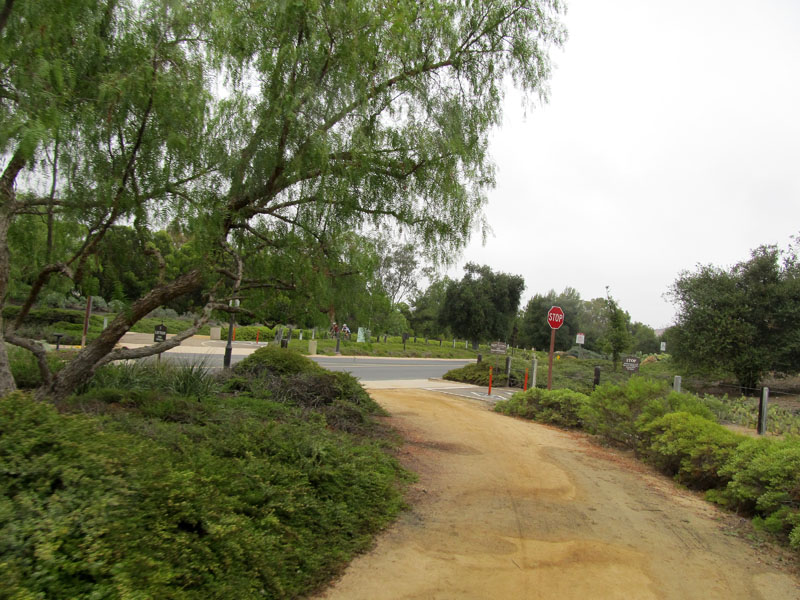 bommer-canyon-irvine-singletracks-IMG_2071