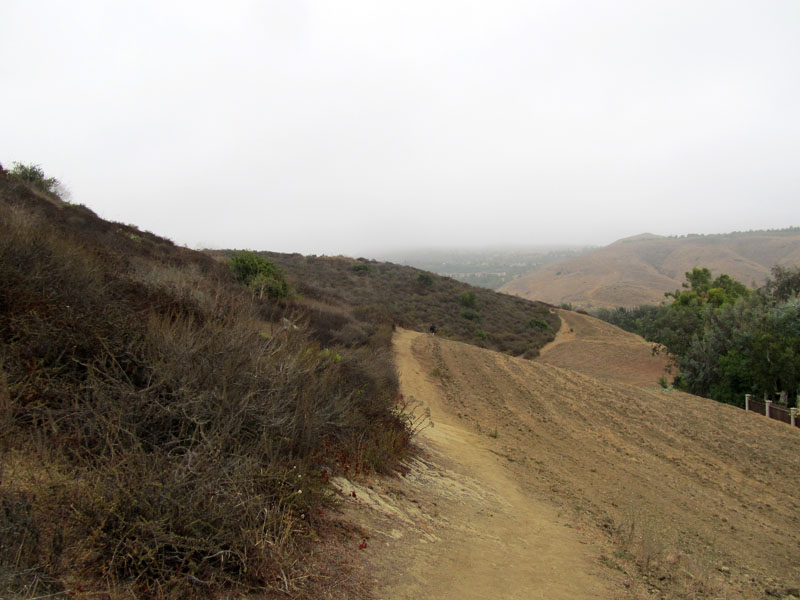 bommer-canyon-irvine-singletracks-IMG_2075