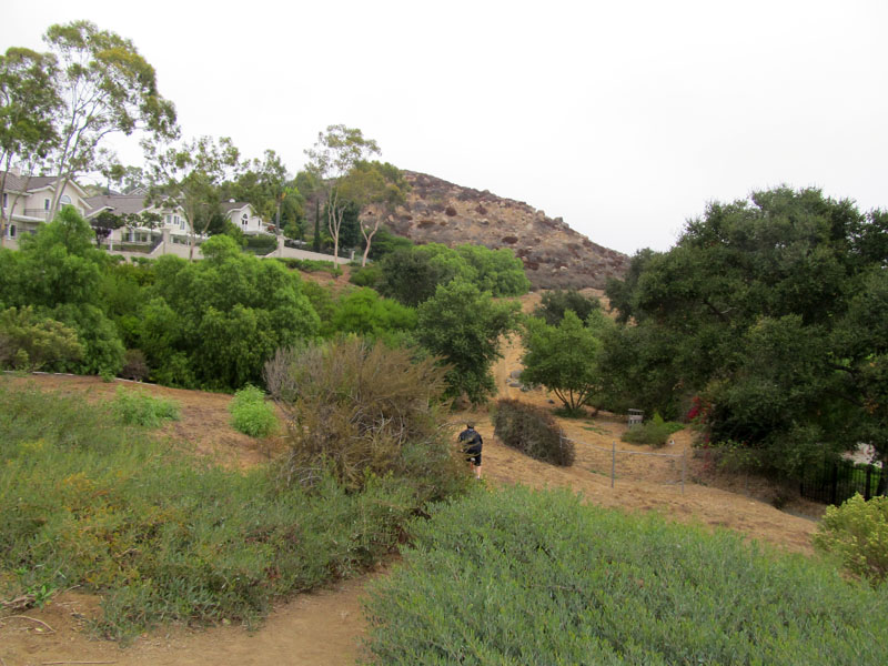 bommer-canyon-irvine-singletracks-IMG_2078