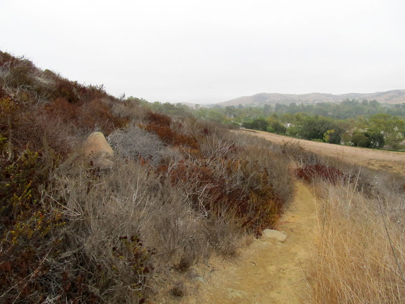 bommer-canyon-irvine-singletracks-IMG_2082