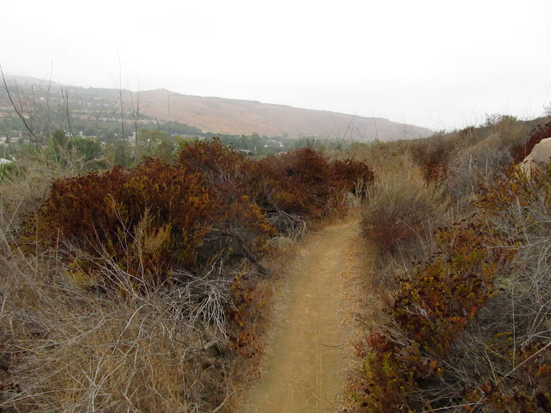 bommer-canyon-irvine-singletracks-IMG_2083