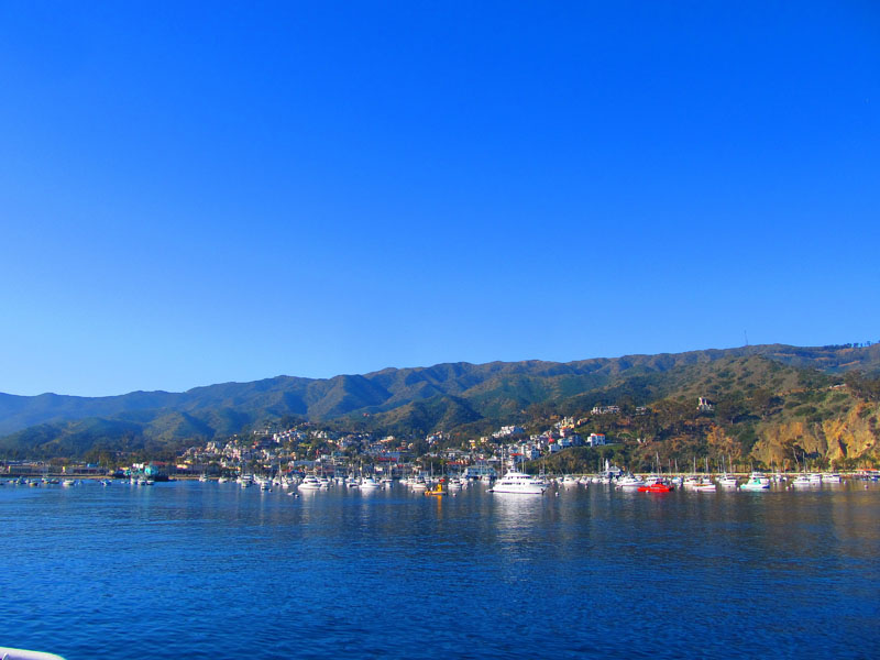 avalon_IMG_2834