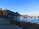 avalon_IMG_2949