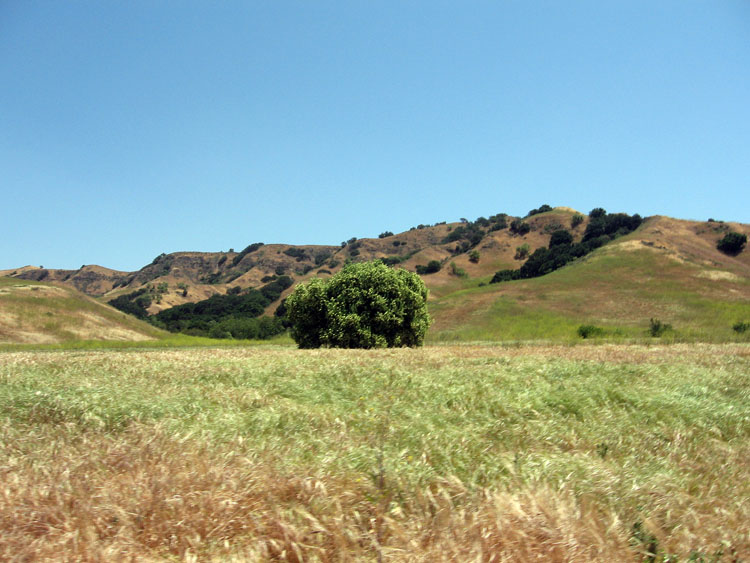 chino-hills-east-aliso-trail-019