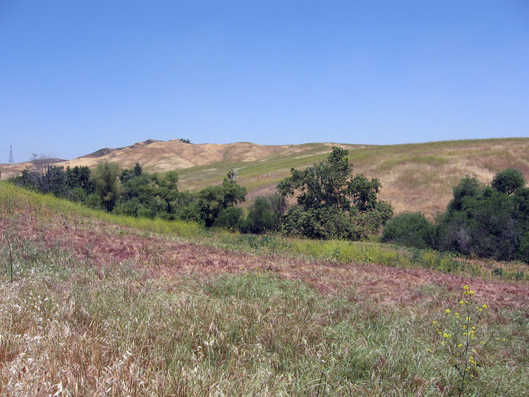 chino-hills-east-aliso-trail-024