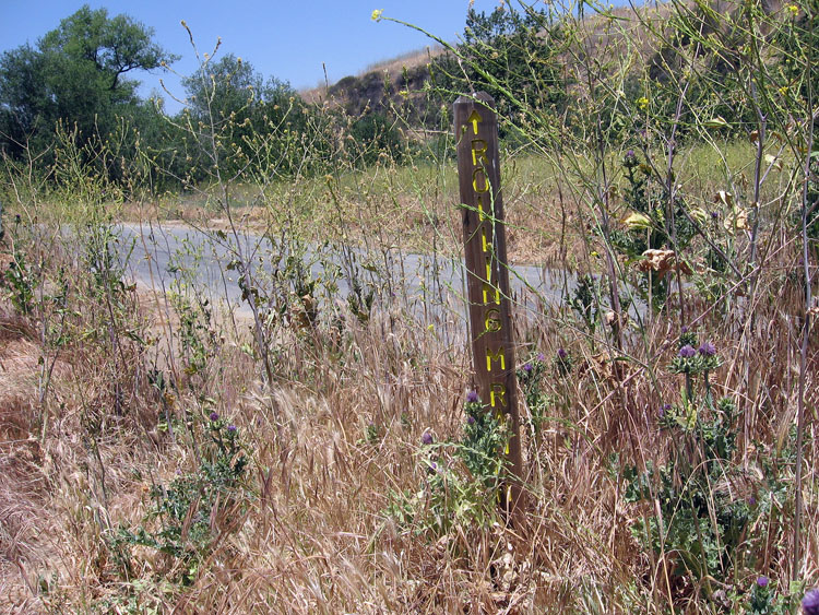 chino-hills-east-aliso-trail-026