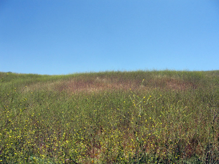 chino-hills-east-aliso-trail-032