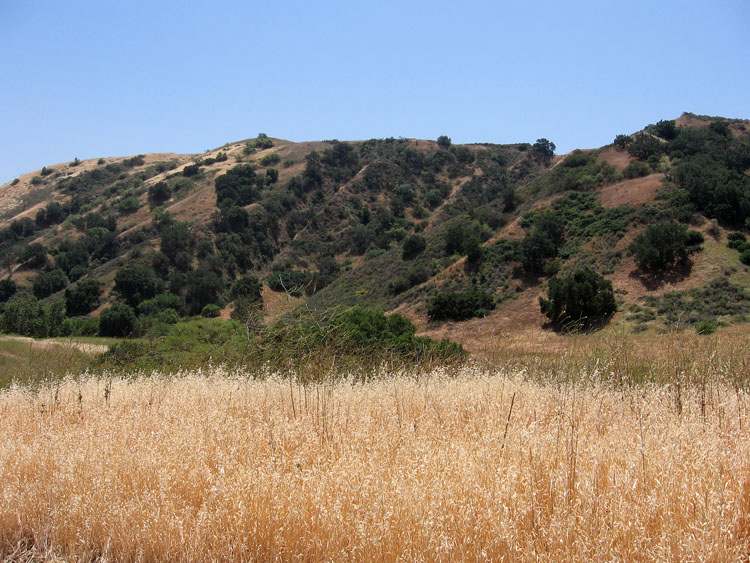 chino-hills-east-aliso-trail-056