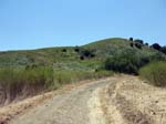 chino-hills-east-aliso-trail-052