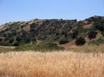 chino-hills-east-aliso-trail-056