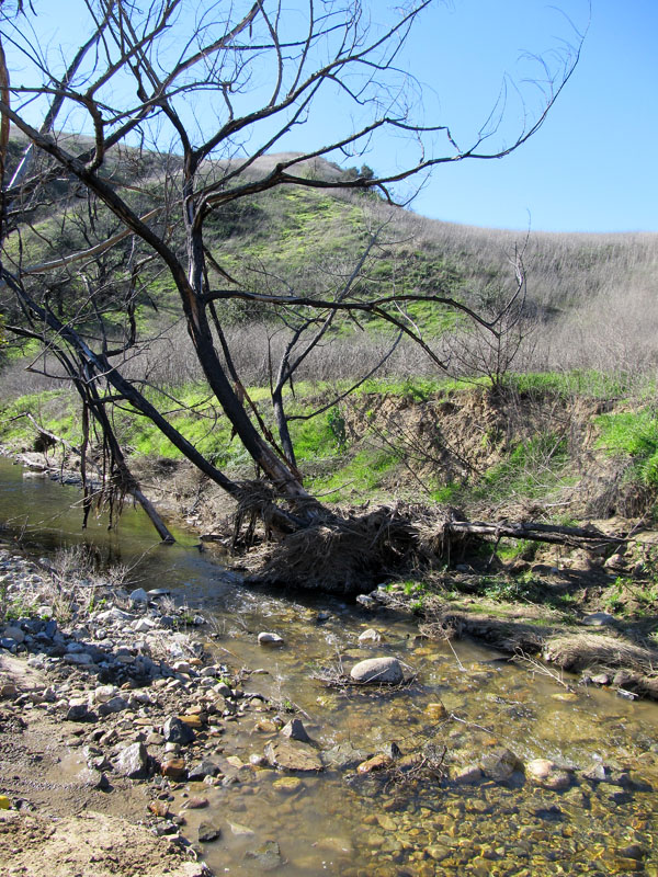 chino-hills-east-IMG_0157