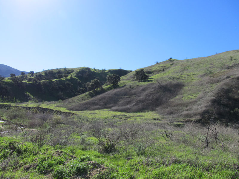 chino-hills-east-IMG_0164