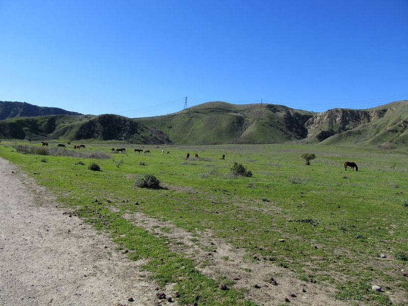 chino-hills-east-IMG_0171