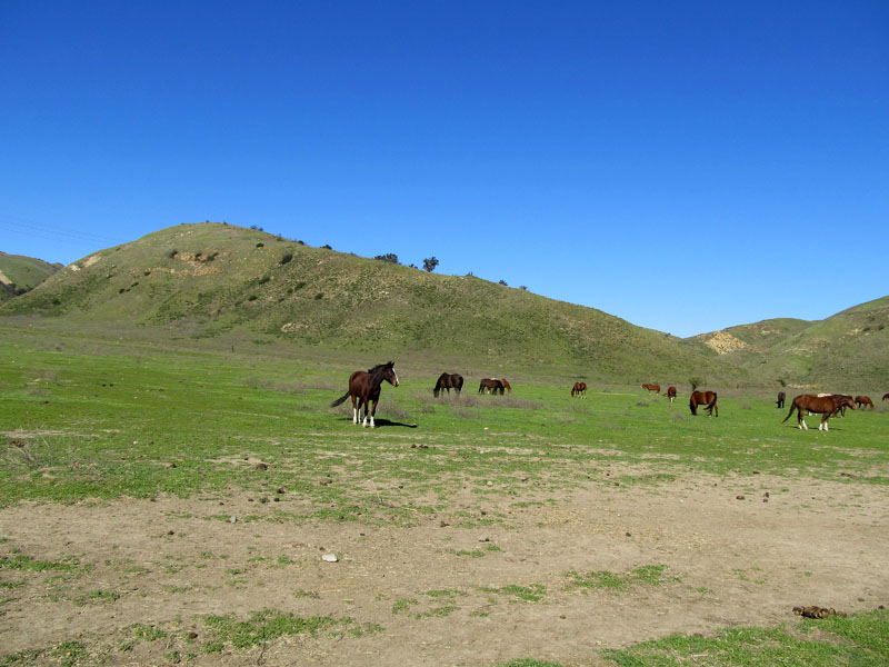 chino-hills-east-IMG_0173