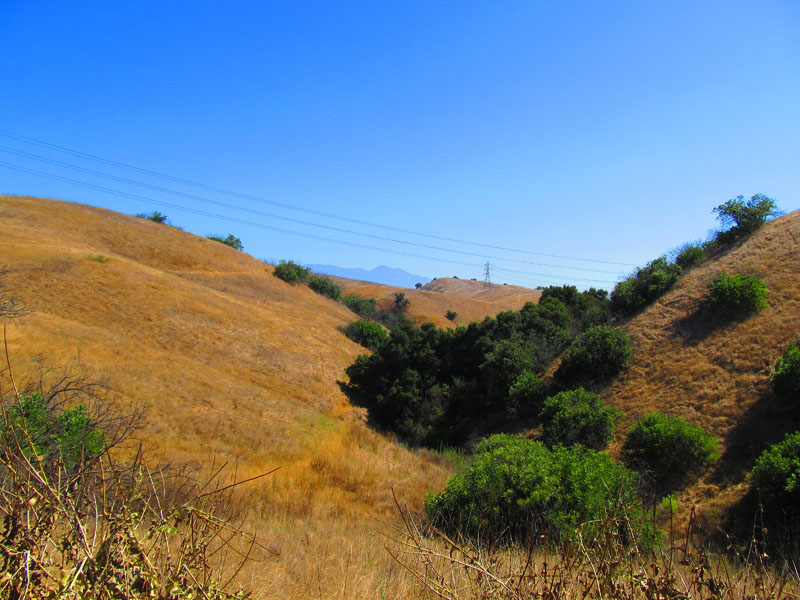 chino_hills_IMG_1662