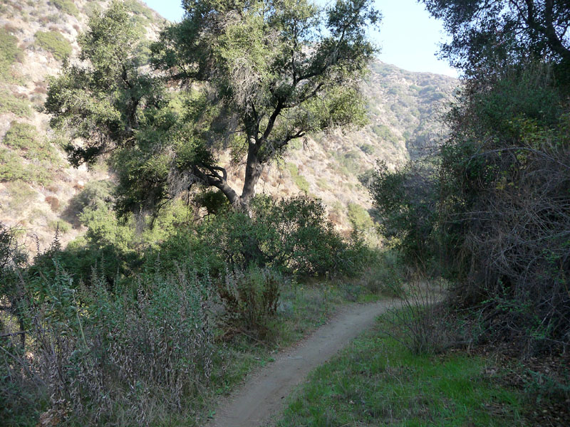 gmr-monroe-truck-trail-27