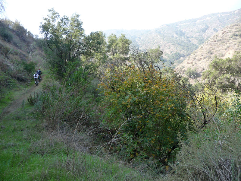gmr-monroe-truck-trail-29