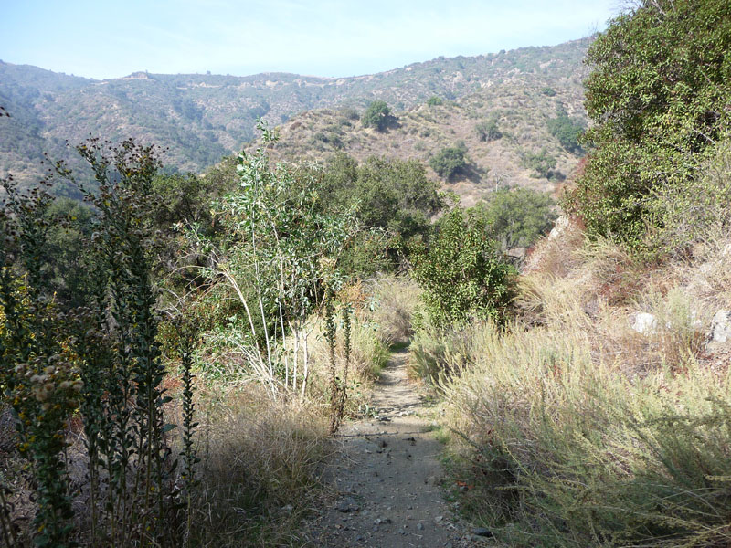 gmr-monroe-truck-trail-30