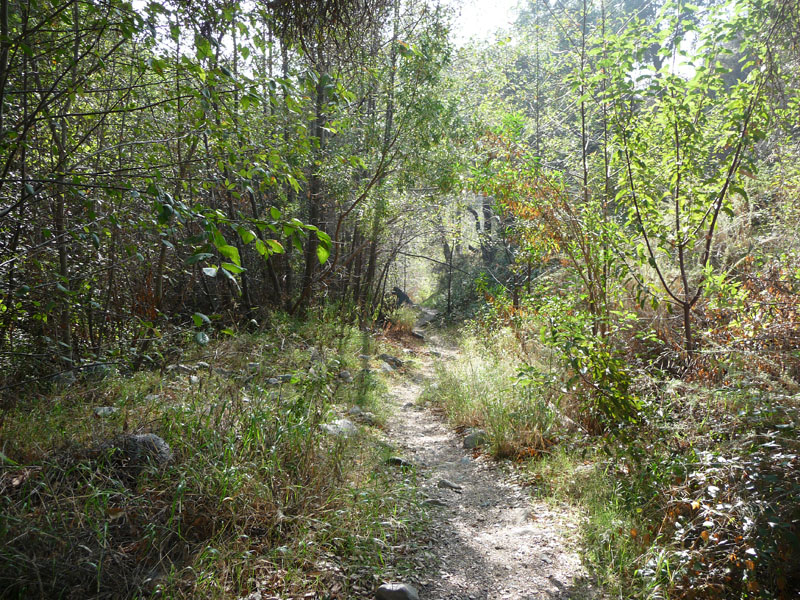 gmr-monroe-truck-trail-31