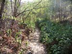 gmr-monroe-truck-trail-32